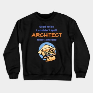 Funny Architect Profession Crewneck Sweatshirt